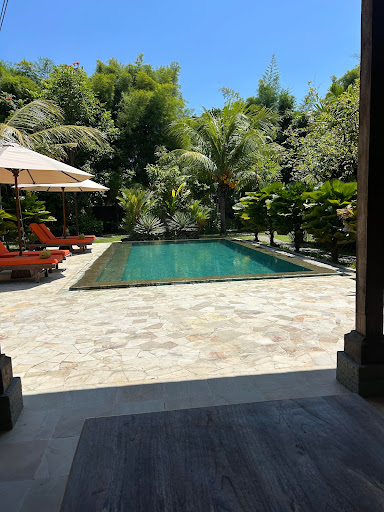 Photo from customer review