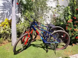 Villa Udara - Bali Vacation Homes 51